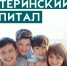Программу материнского капитала в Красноярском крае продлят до конца 2026 года - AchCity.Com