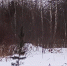 Терренкур по-ачински - 24SibInfo.Ru