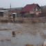 Талые воды затопили больше 30 участков в Козульском районе Красноярского края - AchCity.Com