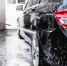 В Ачинской художественной школе открылась выставка Натальи Дементьевой «Мир вокруг нас» - Газета Город А