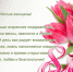 С МЕЖДУНАРОДНЫМ ЖЕНСКИМ ДНЕМ! - ЦРБ Ачинского района