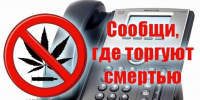 Ачинцы могут помочь полицейским в борьбе с «торговцами смертью» - Газета Город А