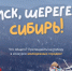 Поддержим сибиряков: Томск и Шерегеш — в финале конкурса молодёжных городов. - Ачинский район