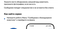 Сообщение о нахождении животного без владельца. - Город Ачинск