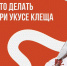 Что делать при укусе клеща? - Ачинская МРБ