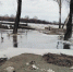 Вода набережную нашла… - Газета Новая Причулымка