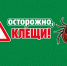 Осторожно клещи!. - Город Ачинск