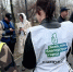 Во время Всероссийского субботника ачинцы смогут проголосовать за благоустройство территорий в 2027 году!. - Город Ачинск